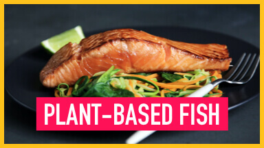 Plant-Based Fish