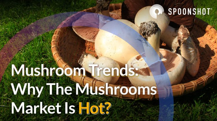 mushroom trends why the mushrooms market is hot