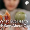 gut health research